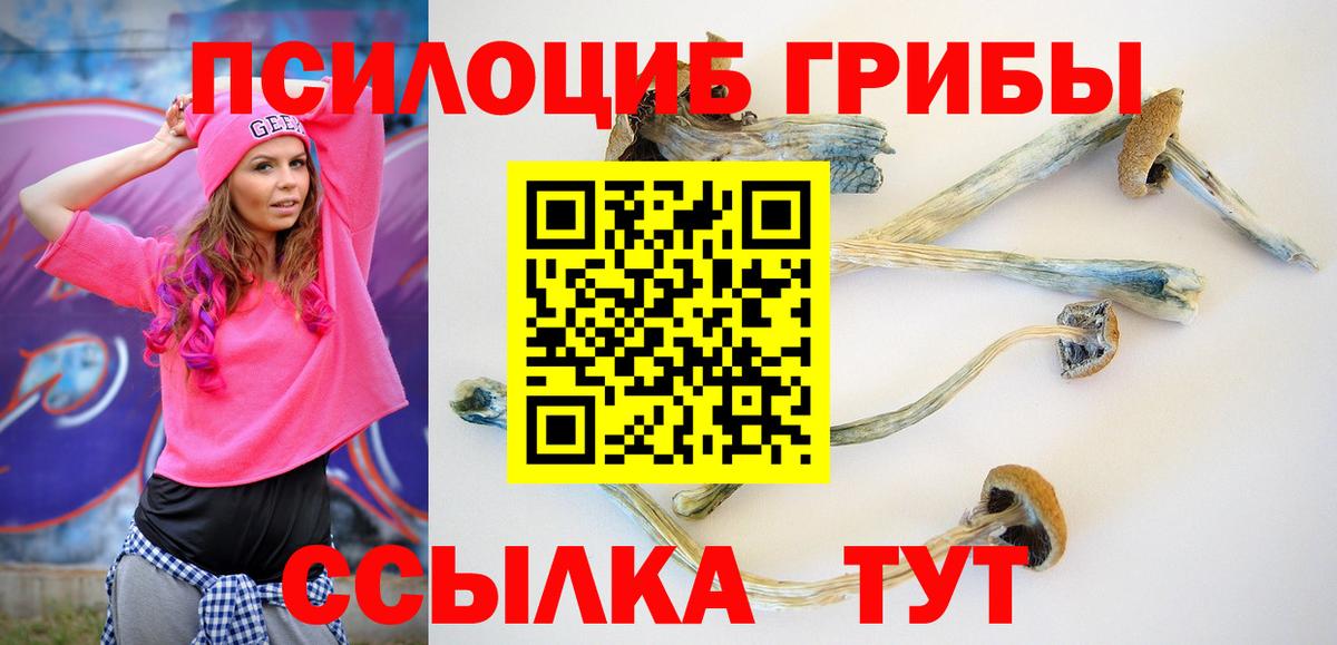Галлюциногенные грибы ЛСД Щёлково