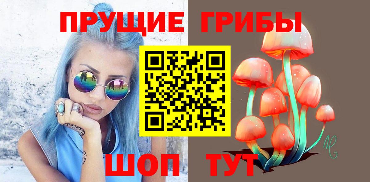 Псилоцибиновые грибы Psilocybine cubensis  Вход с VPN  Щёлково 
